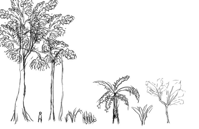 Foliage_Sketches